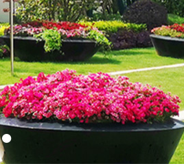 校園景觀(guān)設計需要把握好哪幾項因素