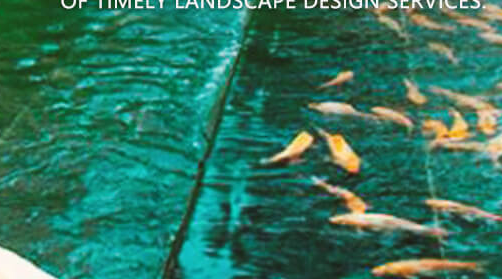 蘇州校園景觀(guān)設計?需要堅持的原則